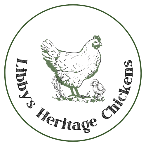 Libbys Heritage Chickens