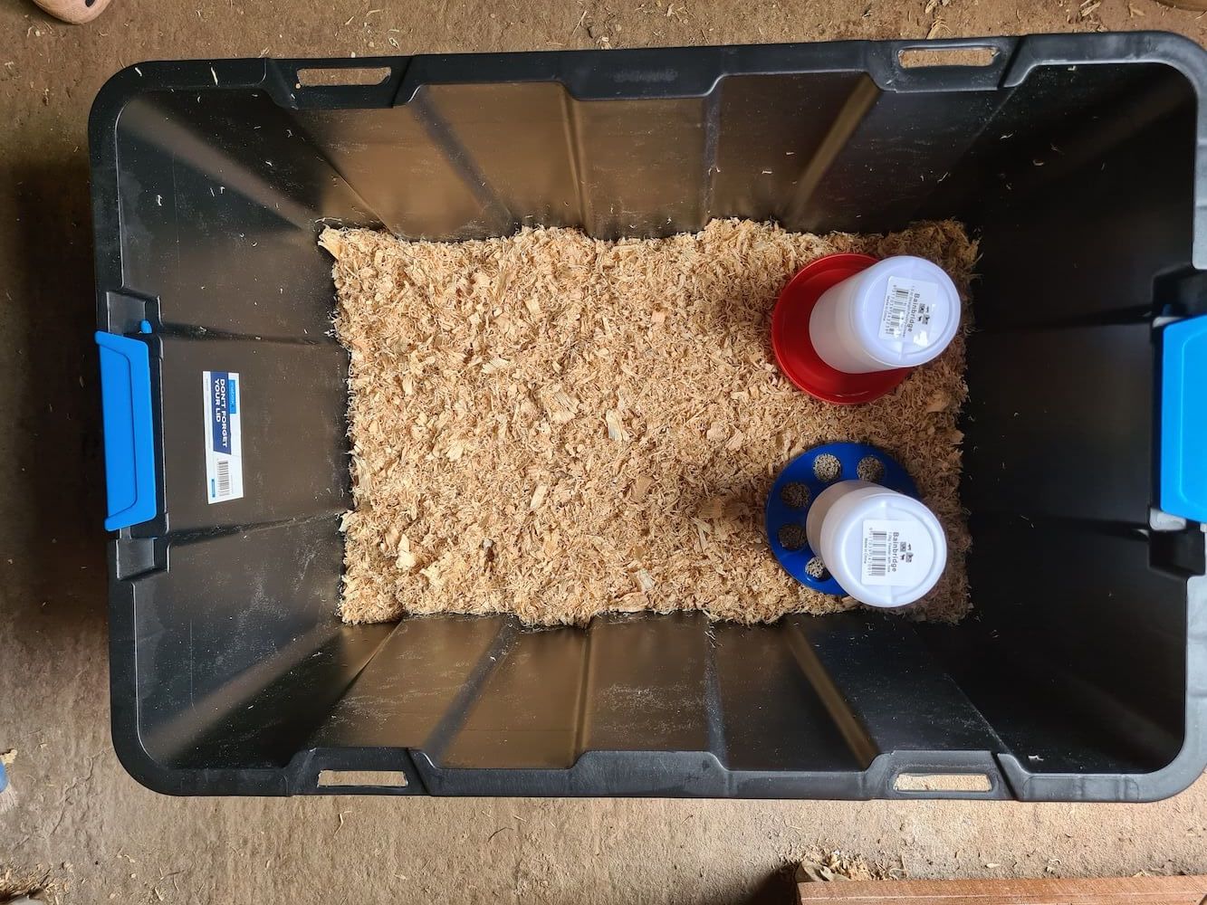 Brooder box with water & food containers