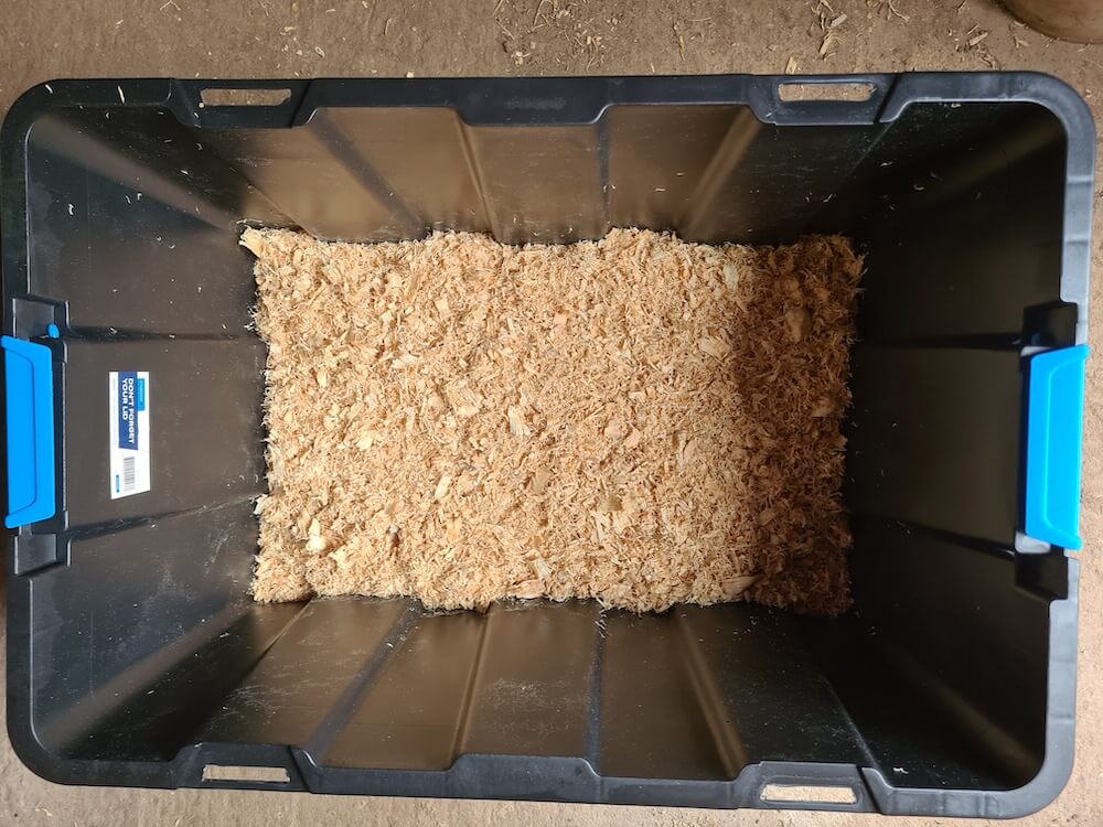 Brooder box with wood shavings