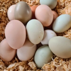 12 Farm Fresh Eggs