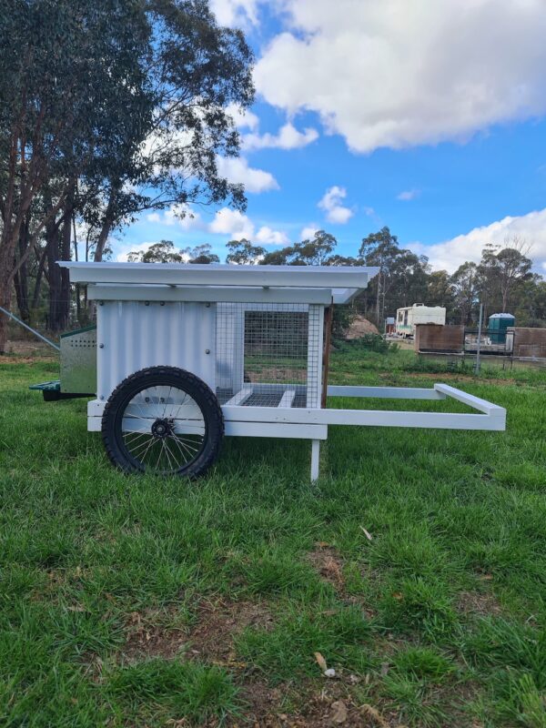 Mobile Chicken Tractor